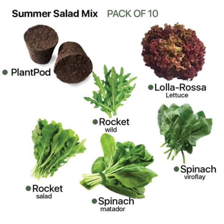 Summer Salad Mix Plant Pod