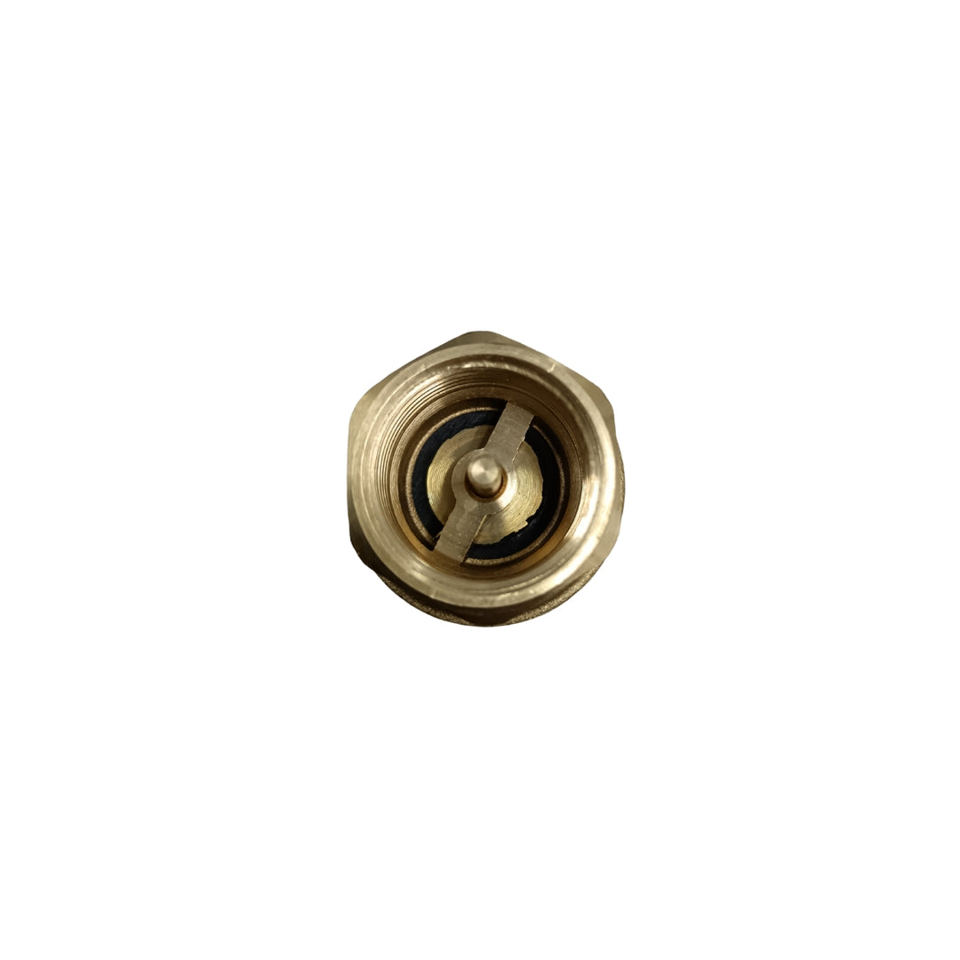 20mm Brass Non-Return Valve