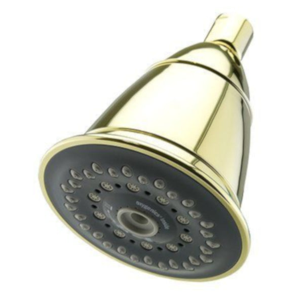 Oxygenics Tri Spa Multifunction Fixed Showerhead