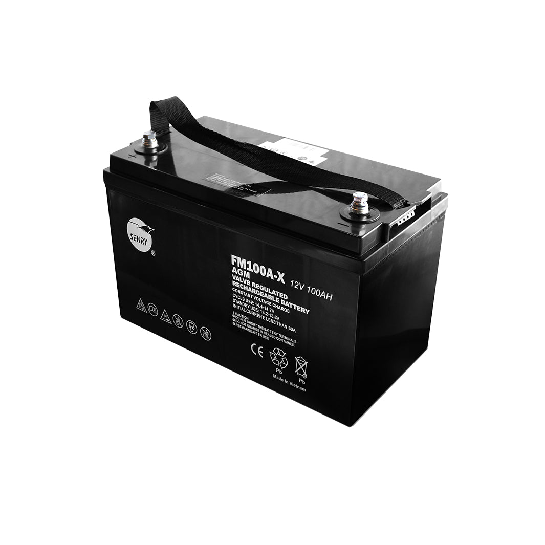 RCT 100Ah 12V Deep Cycle AGM Battery