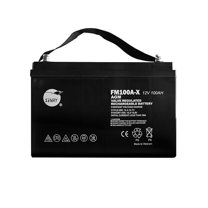 RCT 100Ah 12V Deep Cycle AGM Battery