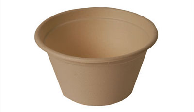 Green Home 350ml Sugarcane Bowl